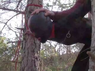 Tied up to a tree outdoors in beguiling clothes and fucked hard